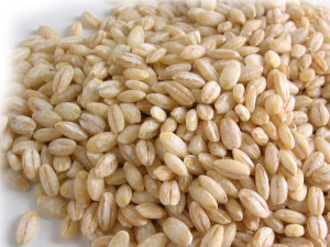 ORZO-1
